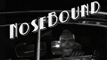 Nosebound – Screens, Info