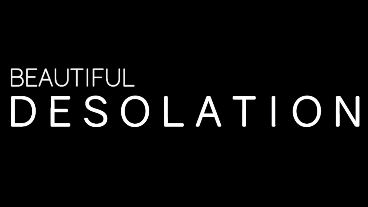 BEAUTIFUL DESOLATION Project Update