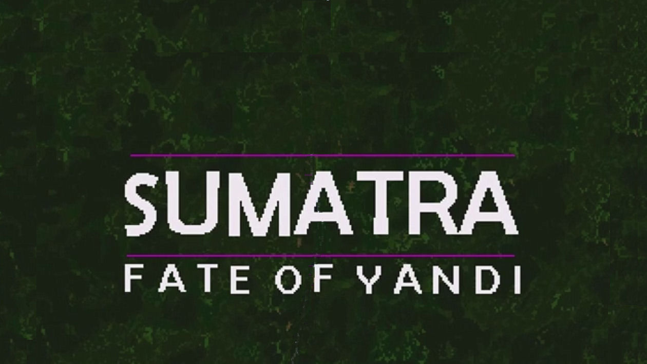 The Fate of Yandi Will Be in Your Hands Later This Year