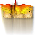 Phoenix rising