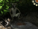Agon Episode 3: Pirates of Madagascar screenshot - click to enlarge