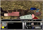 click to enlarge - Combat Medic screenshot