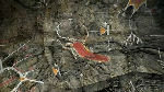 Dear Esther screenshot - click to enlarge