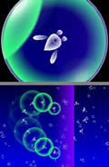 Electroplankton screenshot - click to enlarge