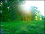 Hope Springs Eternal screenshot - click to enlarge