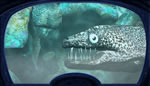The Creature of Kapu Cave screenshot - click to enlarge