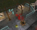 Paradise Cracked screenshot - click to enlarge