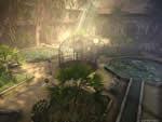 Paradise screenshot - click to enlarge