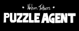 Puzzle Agent Review