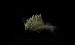 Samorost 2 screenshot - click to enlarge