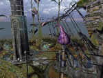 Sentinel screenshot - click to enlarge