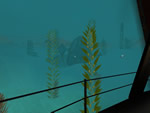 Sentinel screenshot - click to enlarge