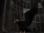 click to enlarge Syberia screenshot