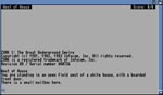 Zork