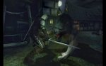 The Witcher Enhanced Edition screenshot - click to enlarge