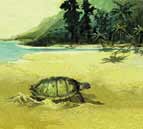 Robinson Crusoe screenshot