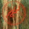 imm2.jpg (9515 bytes)