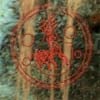 imm3.jpg (10224 bytes)