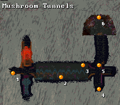 Mushroom Caves