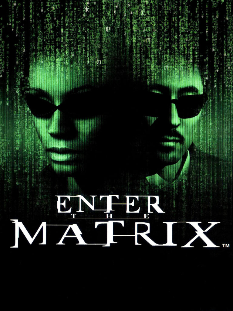 Cover art for Enter the Matrix