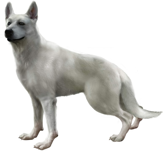 Haunting Ground screenshot 15