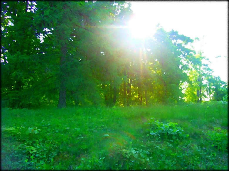 Hope Springs Eternal screenshot 7