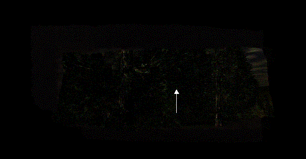 Mortalus screenshot 2