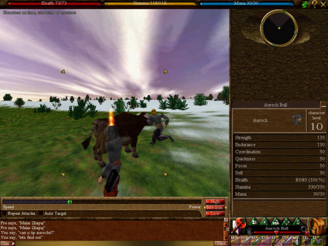 Postcards from Dereth--An Adventurer's View of Asheron's Call screenshot 5