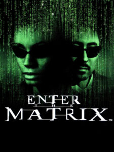 Cover art for Enter the Matrix
