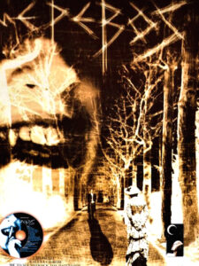 Cover art for Erevos