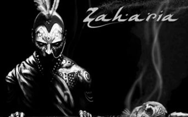 Zaharia Screens, Art, Info