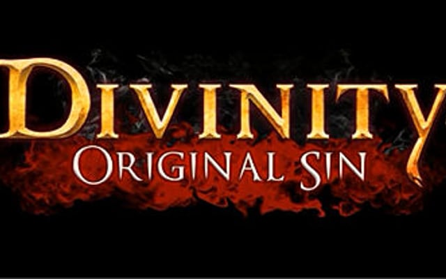 Divinity: Original Sin – New Trailer, Screens, Info