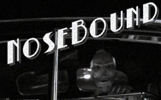 Nosebound – Screens, Info