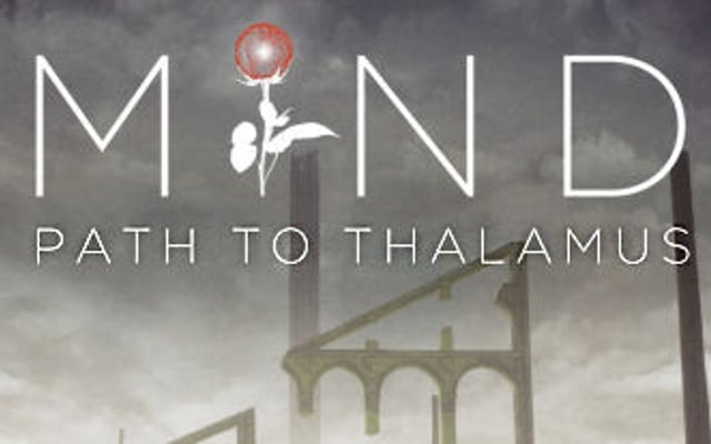 MIND: Path to Thalamus Screens, Info
