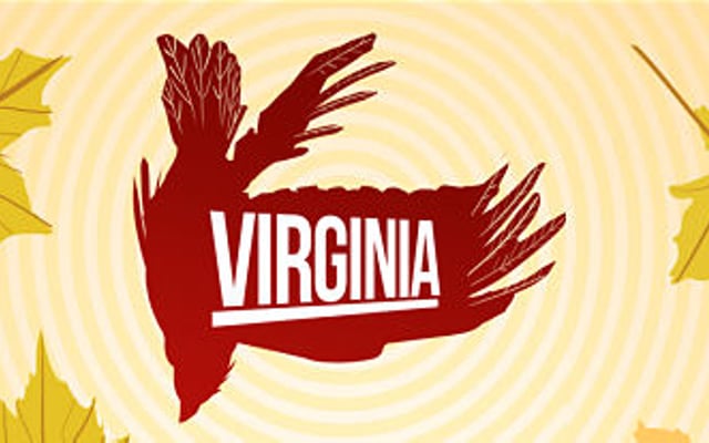 Virginia – Screens, Images, Info