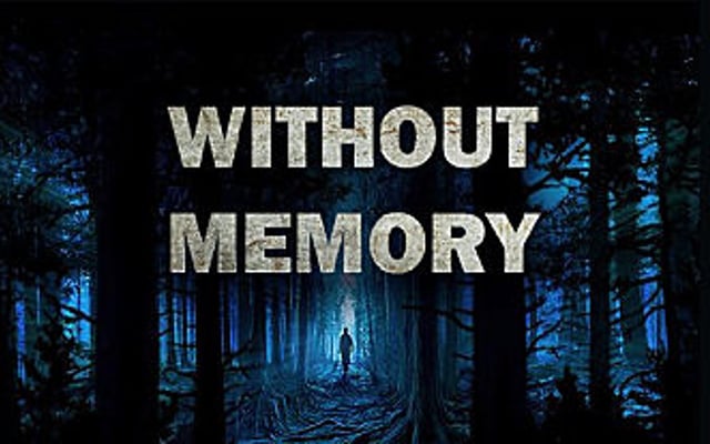 Without Memory: A Third-Person Psychological Thriller