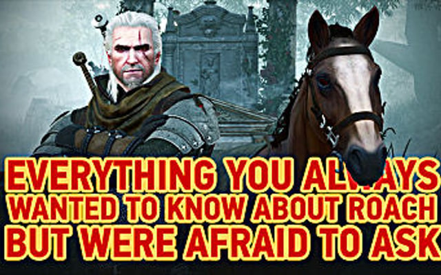 New DLC for the Witcher 3: Wild Hunt