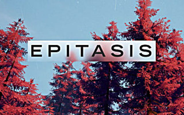 Epitasis Kickstarter – Through the Portal and Beyond
