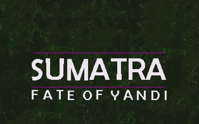 The Fate of Yandi Will Be in Your Hands Later This Year
