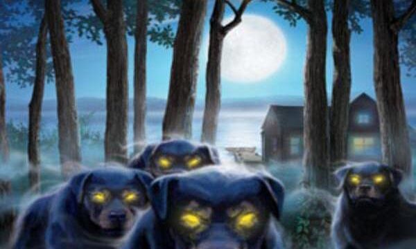 Nancy Drew: Ghost Dogs of Moon Lake
